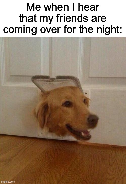 I love this felling | Me when I hear that my friends are coming over for the night: | image tagged in dog door,memenade | made w/ Imgflip meme maker