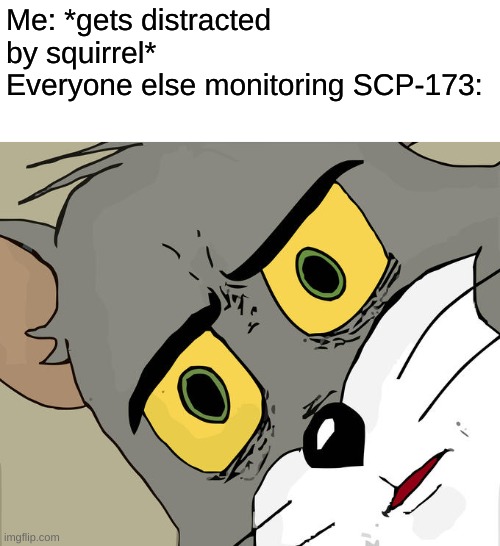 curse you adhd | Me: *gets distracted by squirrel*
Everyone else monitoring SCP-173: | image tagged in memes,unsettled tom | made w/ Imgflip meme maker