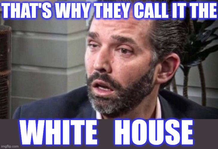 don trump jr coked up (facing left) | THAT'S WHY THEY CALL IT THE WHITE   HOUSE | image tagged in don trump jr coked up facing left | made w/ Imgflip meme maker