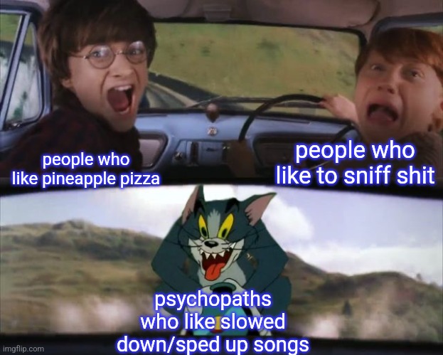 Who tf has music taste like that | people who like to sniff shit; people who like pineapple pizza; psychopaths who like slowed down/sped up songs | image tagged in tom chasing harry and ron weasly | made w/ Imgflip meme maker
