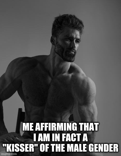 hmmph | ME AFFIRMING THAT I AM IN FACT A "KISSER" OF THE MALE GENDER | image tagged in giga chad | made w/ Imgflip meme maker