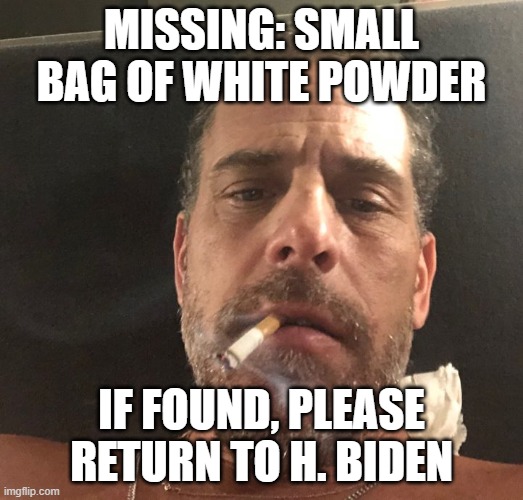 Hunter Biden | MISSING: SMALL BAG OF WHITE POWDER; IF FOUND, PLEASE RETURN TO H. BIDEN | image tagged in hunter biden | made w/ Imgflip meme maker