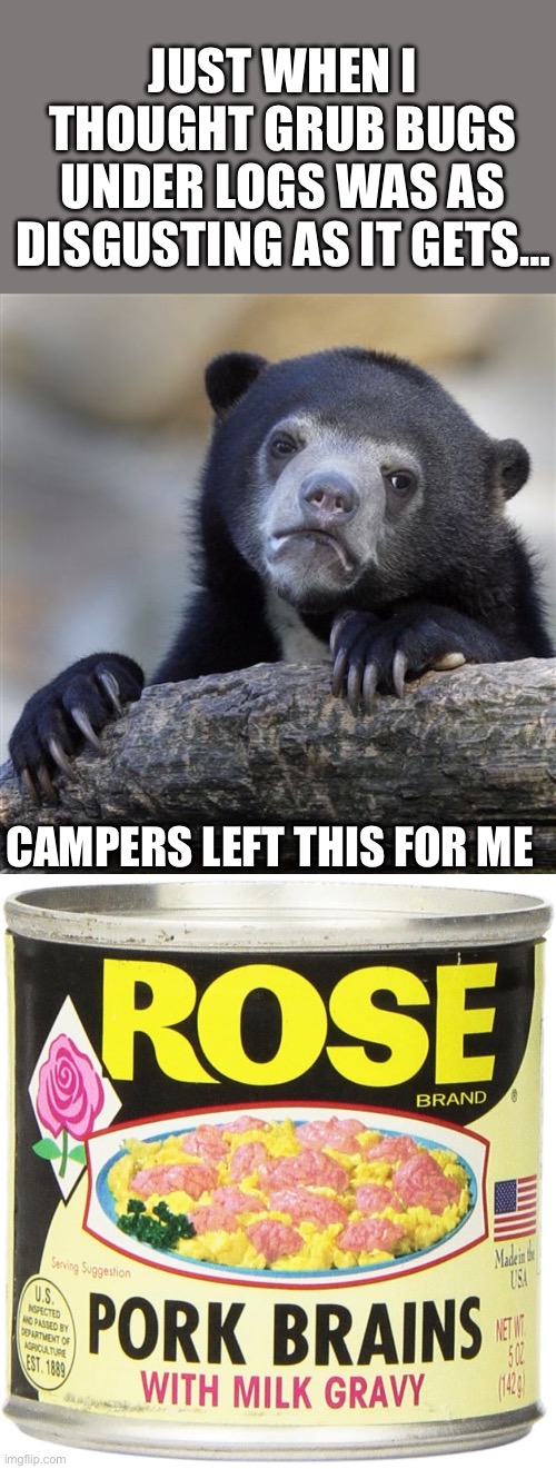 Campsite Trash | JUST WHEN I THOUGHT GRUB BUGS UNDER LOGS WAS AS DISGUSTING AS IT GETS…; CAMPERS LEFT THIS FOR ME | image tagged in memes,confession bear | made w/ Imgflip meme maker