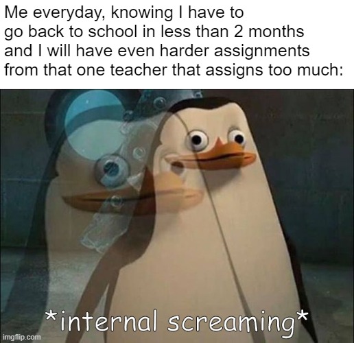 *inhale* AAAAAAAAAAAAAAAAAAAAAAAA | Me everyday, knowing I have to go back to school in less than 2 months and I will have even harder assignments from that one teacher that assigns too much: | image tagged in private internal screaming,why,school,summer,sad,oh wow are you actually reading these tags | made w/ Imgflip meme maker