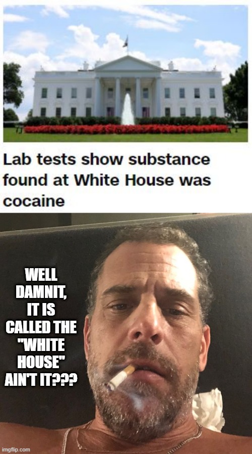 Sniff Sniff | WELL DAMNIT, IT IS CALLED THE "WHITE HOUSE" AIN'T IT??? | image tagged in hunter biden | made w/ Imgflip meme maker