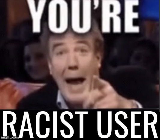 You're X (Blank) | RACIST USER | image tagged in you're x blank | made w/ Imgflip meme maker