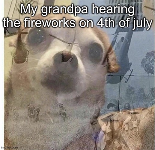 flashback | My grandpa hearing the fireworks on 4th of july | image tagged in ptsd chihuahua | made w/ Imgflip meme maker