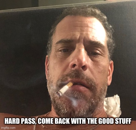 Hunter Biden | HARD PASS, COME BACK WITH THE GOOD STUFF | image tagged in hunter biden | made w/ Imgflip meme maker