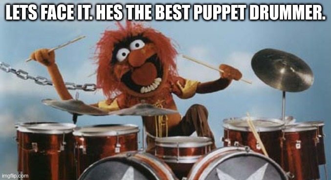 Its true | LETS FACE IT. HES THE BEST PUPPET DRUMMER. | image tagged in animal on drums,drums | made w/ Imgflip meme maker