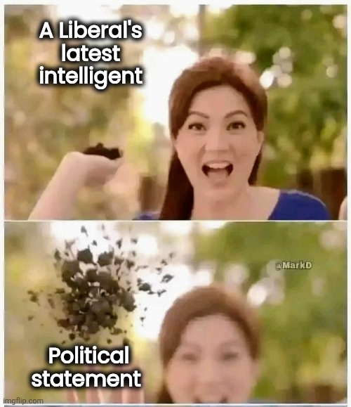 politics poop stained underwear wallet Memes & GIFs - Imgflip