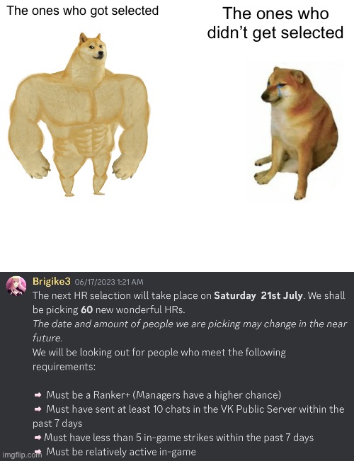 The ones who got selected; The ones who didn’t get selected | image tagged in memes,buff doge vs cheems | made w/ Imgflip meme maker