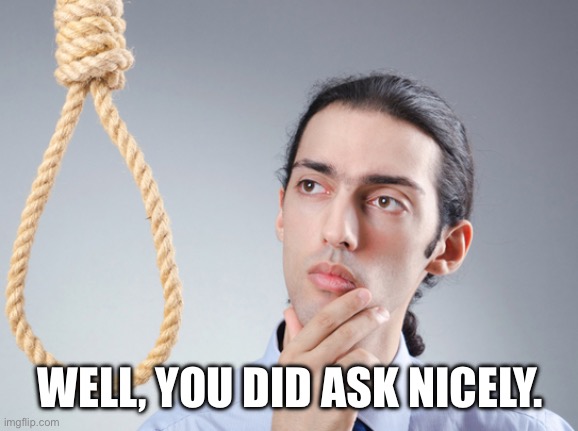 noose | WELL, YOU DID ASK NICELY. | image tagged in noose | made w/ Imgflip meme maker