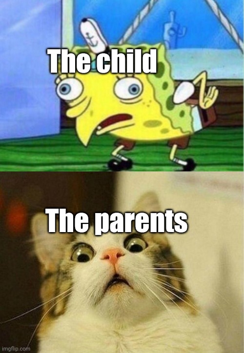 The child The parents | image tagged in memes,mocking spongebob,scared cat | made w/ Imgflip meme maker