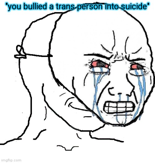 wojak mask | "you bullied a trans person into suicide" | image tagged in wojak mask | made w/ Imgflip meme maker