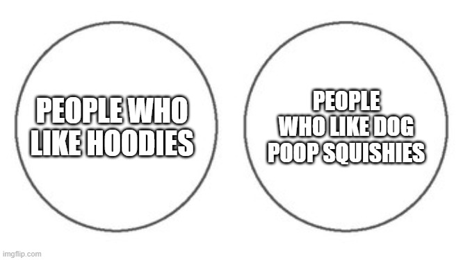 non overlapping venn diagram | PEOPLE WHO LIKE DOG POOP SQUISHIES; PEOPLE WHO LIKE HOODIES | image tagged in non overlapping venn diagram | made w/ Imgflip meme maker