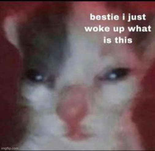 bestie i just woke up what is this | image tagged in bestie i just woke up what is this | made w/ Imgflip meme maker