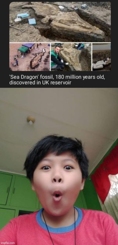 Dragon fossil | image tagged in discovery kid,dragon,fossil,uk,memes,dragons | made w/ Imgflip meme maker