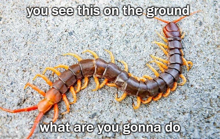 you see this on the ground; what are you gonna do | made w/ Imgflip meme maker