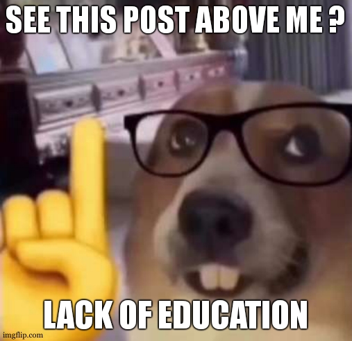 lack of education above me | SEE THIS POST ABOVE ME ? LACK OF EDUCATION | image tagged in umm actually,but wait there's more | made w/ Imgflip meme maker