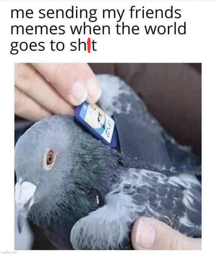 image tagged in memes,funny | made w/ Imgflip meme maker