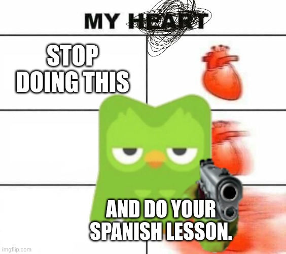 Duolingo does not like Memes | STOP DOING THIS; AND DO YOUR SPANISH LESSON. | image tagged in funny meme | made w/ Imgflip meme maker