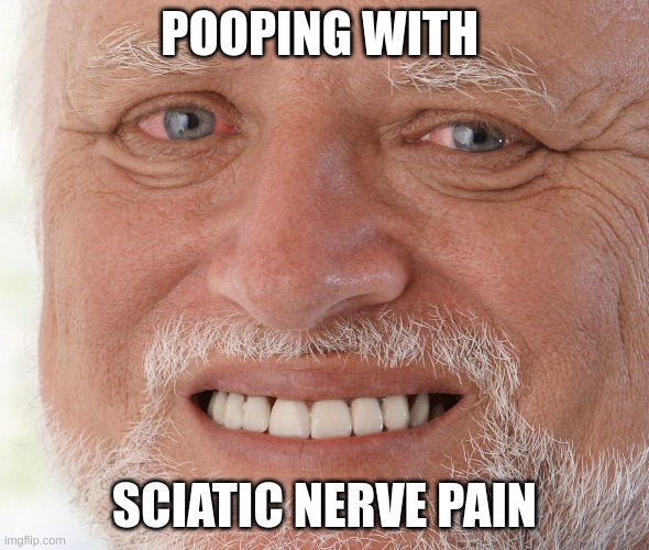 Hide the Pain Harold | POOPING WITH; SCIATIC NERVE PAIN | image tagged in hide the pain harold | made w/ Imgflip meme maker