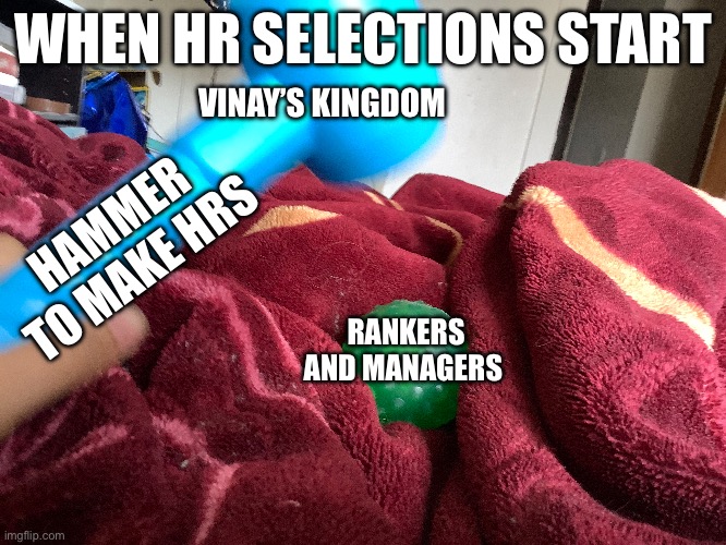 Vinay’s kingdom be like | WHEN HR SELECTIONS START; VINAY’S KINGDOM; HAMMER TO MAKE HRS; RANKERS AND MANAGERS | image tagged in roblox | made w/ Imgflip meme maker