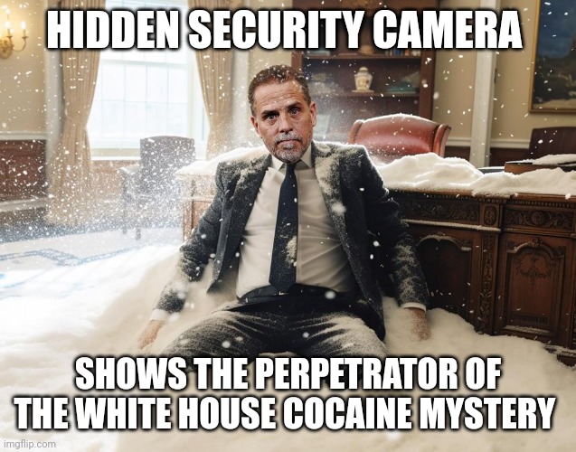 Cocaine white house | HIDDEN SECURITY CAMERA; SHOWS THE PERPETRATOR OF THE WHITE HOUSE COCAINE MYSTERY | made w/ Imgflip meme maker