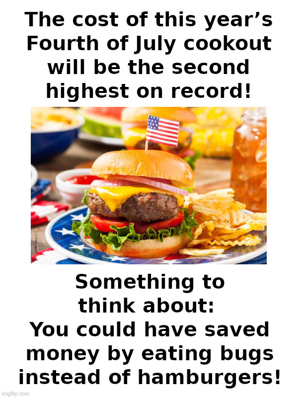 Saving Money On The 4th of July! | image tagged in joe biden,bidenomics,4th of july,inflation,eat bugs,cheap | made w/ Imgflip meme maker