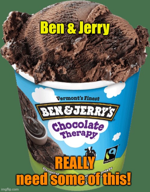 Not so much VIRTUE-SIGNALING as it is STUPIDITY-SIGNALING | Ben & Jerry; REALLY
need some of this! | image tagged in ben and jerrys | made w/ Imgflip meme maker