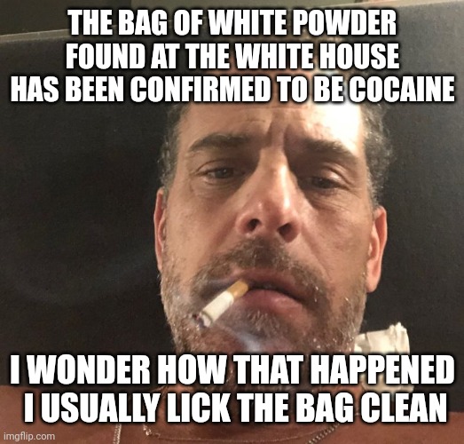 Hunter Biden | THE BAG OF WHITE POWDER FOUND AT THE WHITE HOUSE HAS BEEN CONFIRMED TO BE COCAINE; I WONDER HOW THAT HAPPENED
 I USUALLY LICK THE BAG CLEAN | image tagged in hunter biden | made w/ Imgflip meme maker