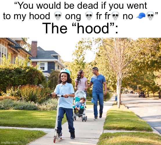 The hood ?️? | “You would be dead if you went to my hood 💀 ong 💀 fr fr💀 no 🧢💀”; The “hood”: | image tagged in memes | made w/ Imgflip meme maker