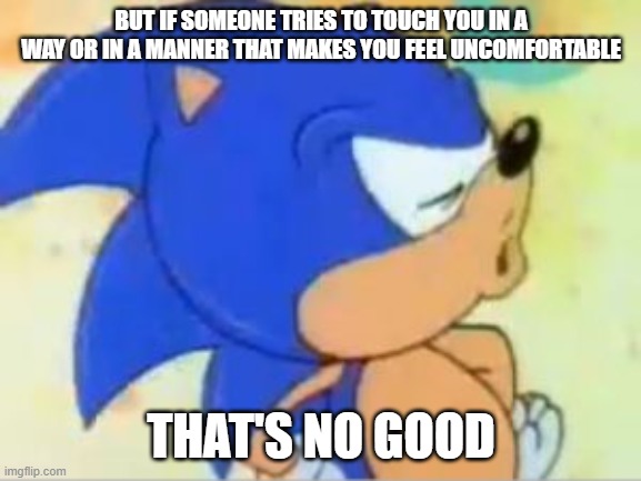 It's your body, No one has the right to touch it if you don't want them to | BUT IF SOMEONE TRIES TO TOUCH YOU IN A WAY OR IN A MANNER THAT MAKES YOU FEEL UNCOMFORTABLE; THAT'S NO GOOD | image tagged in sonic that's no good | made w/ Imgflip meme maker