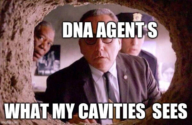 Shawshank redemption | DNA AGENT S; WHAT MY CAVITIES  SEES | image tagged in shawshank redemption | made w/ Imgflip meme maker