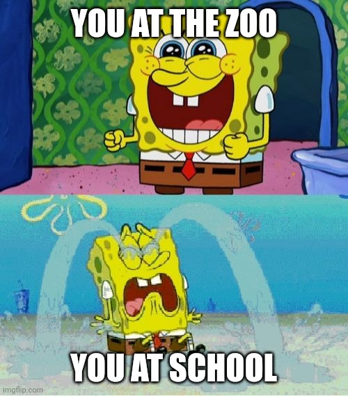 Zoo Meme | YOU AT THE ZOO; YOU AT SCHOOL | image tagged in spongebob happy and sad | made w/ Imgflip meme maker