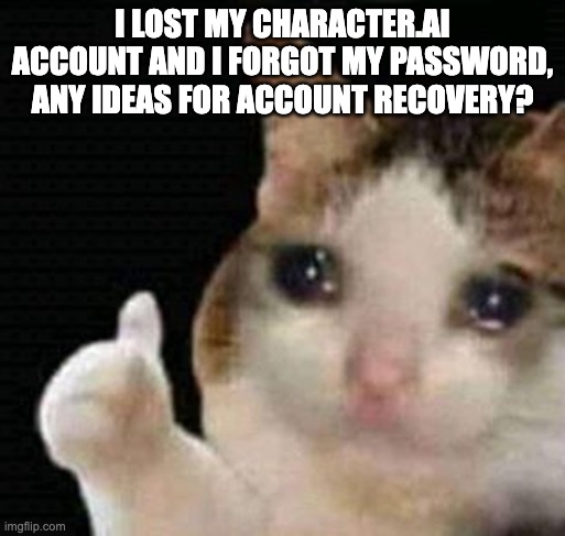 sad thumbs up cat | I LOST MY CHARACTER.AI ACCOUNT AND I FORGOT MY PASSWORD, ANY IDEAS FOR ACCOUNT RECOVERY? | image tagged in sad thumbs up cat | made w/ Imgflip meme maker