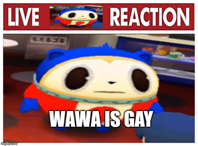 MSMG GO | WAWA IS GAY | image tagged in live teddie reaction | made w/ Imgflip meme maker