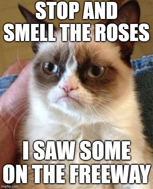 Grumpy Cat | STOP AND SMELL THE ROSES; I SAW SOME ON THE FREEWAY | image tagged in memes,grumpy cat | made w/ Imgflip meme maker