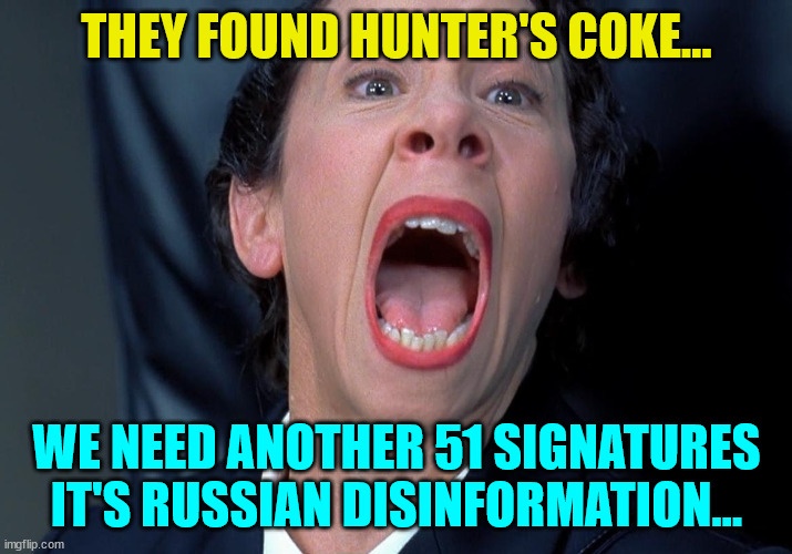 Frau Farbissina | THEY FOUND HUNTER'S COKE... WE NEED ANOTHER 51 SIGNATURES IT'S RUSSIAN DISINFORMATION... | image tagged in frau farbissina | made w/ Imgflip meme maker