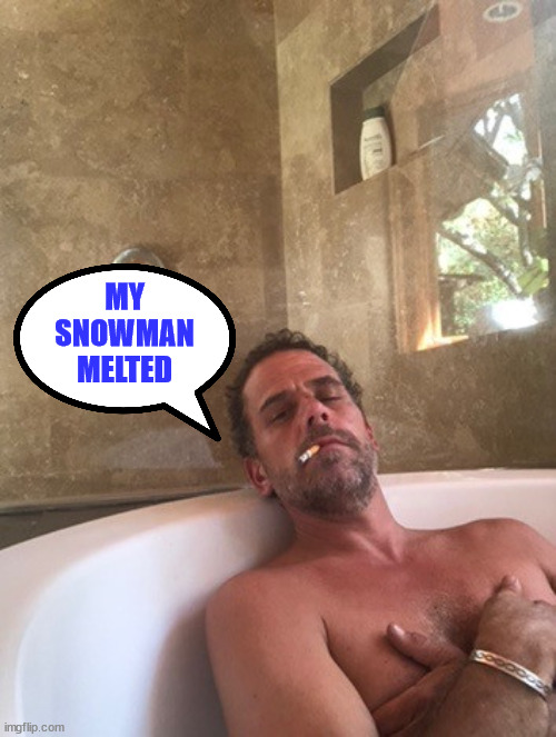 Hunter Biden | MY SNOWMAN MELTED | image tagged in hunter biden | made w/ Imgflip meme maker