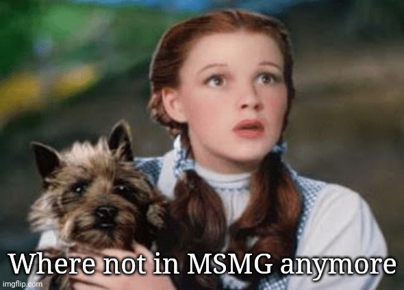 WE'RE NOT IN KANSAS ANYMORE | Where not in MSMG anymore | image tagged in we're not in kansas anymore | made w/ Imgflip meme maker