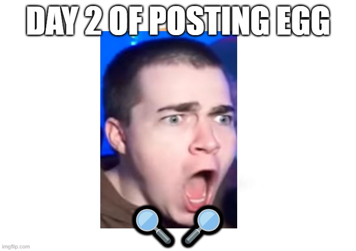 Left magnifying glass | DAY 2 OF POSTING EGG; 🔍🔎 | image tagged in steak,egg,funny,2,fat,bald | made w/ Imgflip meme maker