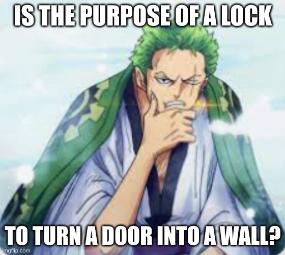 whoa | IS THE PURPOSE OF A LOCK; TO TURN A DOOR INTO A WALL? | image tagged in think zoro | made w/ Imgflip meme maker