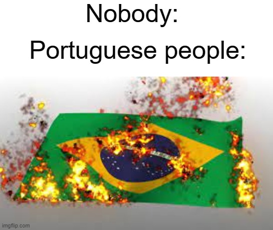 I saw a Brazilian flag in the garbage in Portugal, sadly didn't take a picture tho | Nobody:; Portuguese people: | image tagged in memes,funny,brazil,portugal,spain,fire | made w/ Imgflip meme maker
