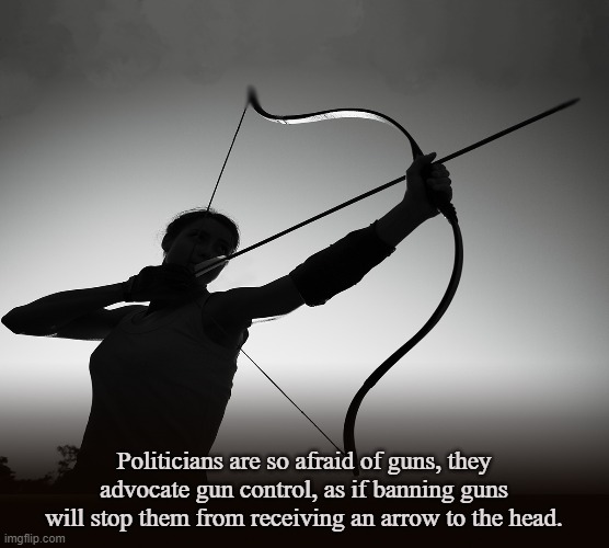ORIGINAL SUPPRESSOR | Politicians are so afraid of guns, they advocate gun control, as if banning guns will stop them from receiving an arrow to the head. | image tagged in archery,arrow,assassin,gun control,silencer,bow and arrow | made w/ Imgflip meme maker