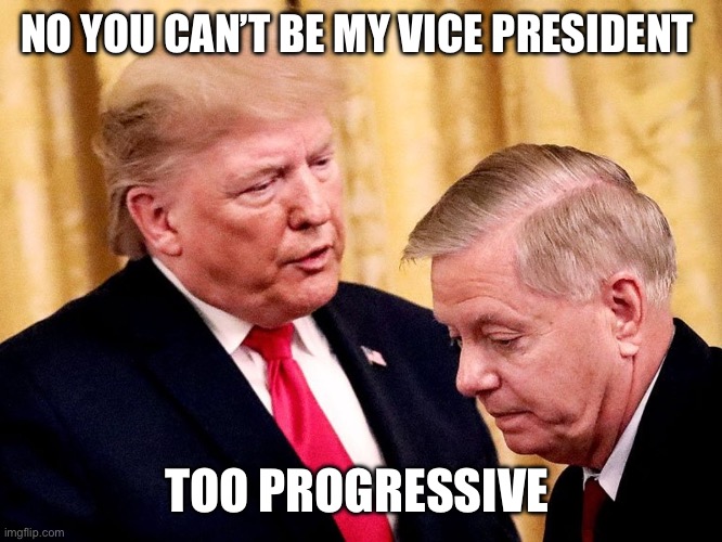 Trump Lindsey | NO YOU CAN’T BE MY VICE PRESIDENT TOO PROGRESSIVE | image tagged in trump lindsey | made w/ Imgflip meme maker
