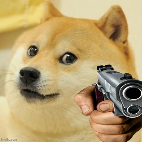 image tagged in doge | made w/ Imgflip meme maker