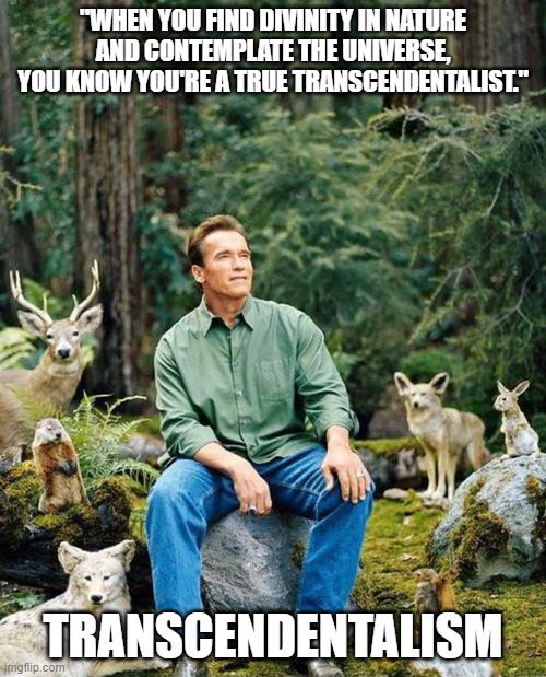 Arnold nature | "WHEN YOU FIND DIVINITY IN NATURE AND CONTEMPLATE THE UNIVERSE, YOU KNOW YOU'RE A TRUE TRANSCENDENTALIST."; TRANSCENDENTALISM | image tagged in arnold nature | made w/ Imgflip meme maker