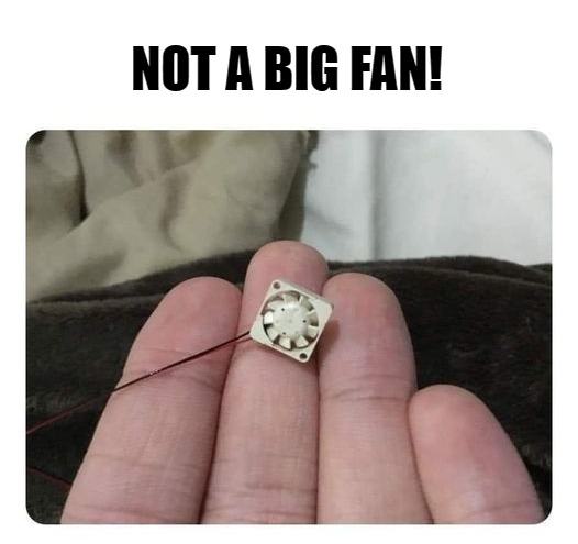 not a big fan! -