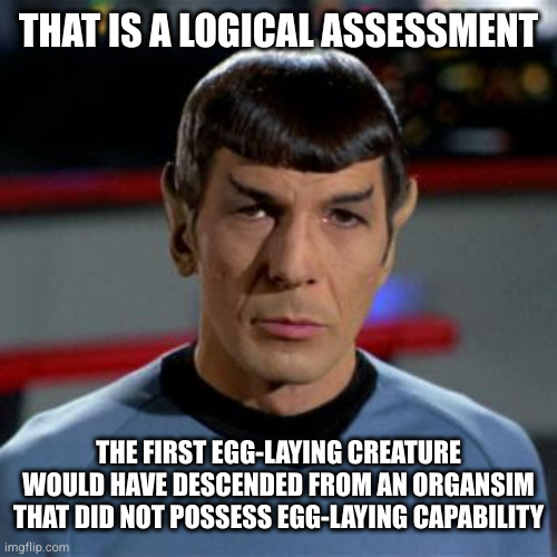 Spock | THAT IS A LOGICAL ASSESSMENT THE FIRST EGG-LAYING CREATURE WOULD HAVE DESCENDED FROM AN ORGANSIM THAT DID NOT POSSESS EGG-LAYING CAPABILITY | image tagged in spock | made w/ Imgflip meme maker